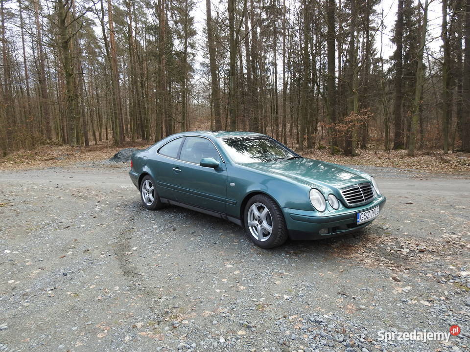 Mercedes CLK 430 V8 Mikołajki Pomorskie