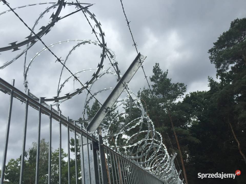 Zasieki concertina 450 mm 54 zwoje 3 złączki Szczecin