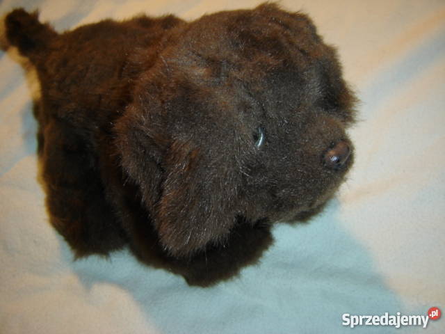 Interaktywny piesek Hasbro Fur Real