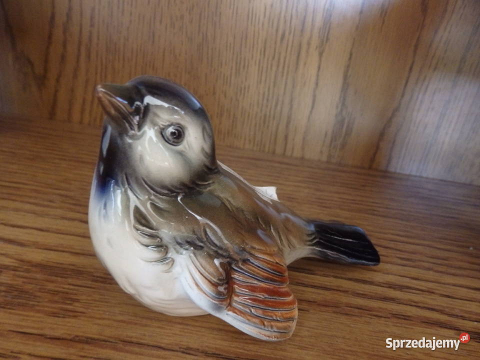 Wróbelek Goebel Pozostałe Rabka-Zdrój