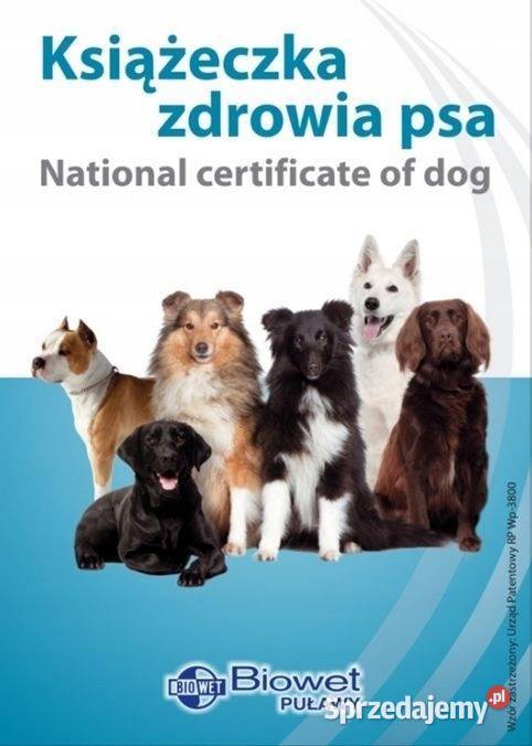 Książeczka Zdrowia Psa rasy średniej mix ras Lubsko