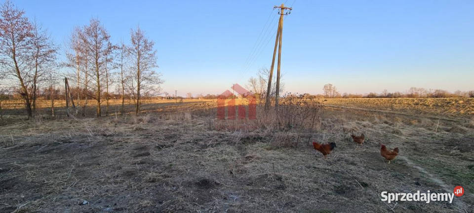 Grunt Dąbrowica 15000m2 małopolskie