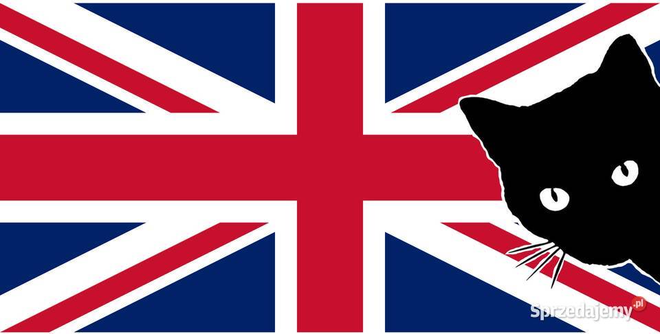 ANGIELSKI Tanio i Profesjonalnie Tłumaczenia Kraków