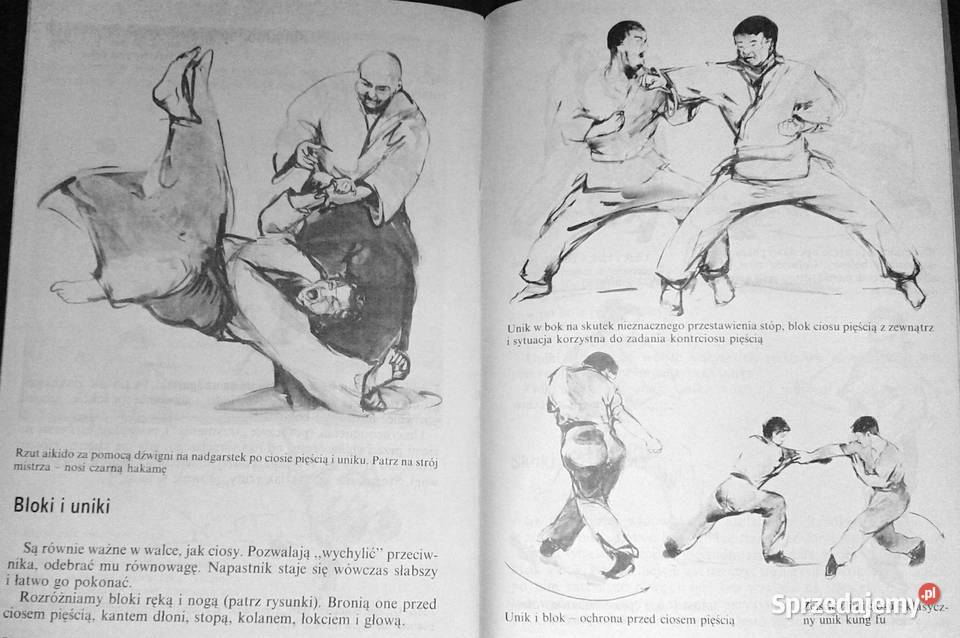 Moc Erniego Stanisław Tokarski lubelskie Chełm sprzedam