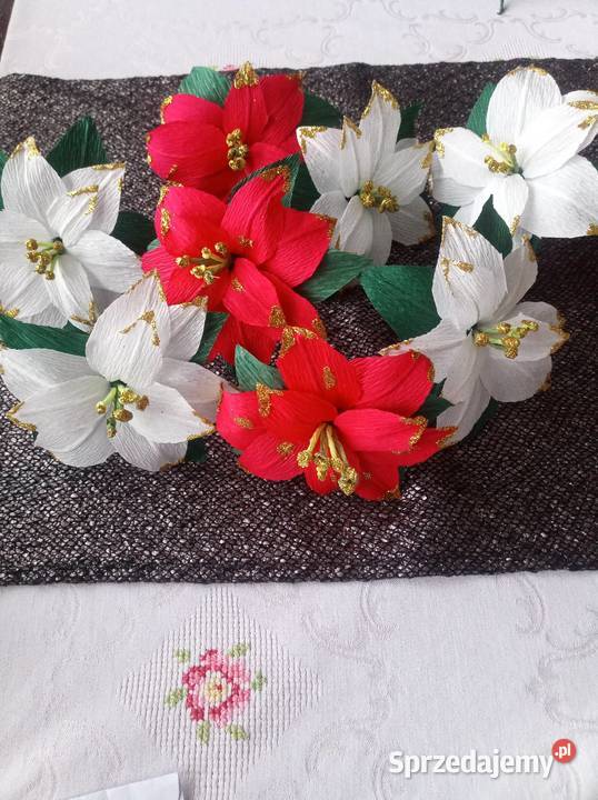 Małe gwiazdy betlejemskie małopolskie Gorlice