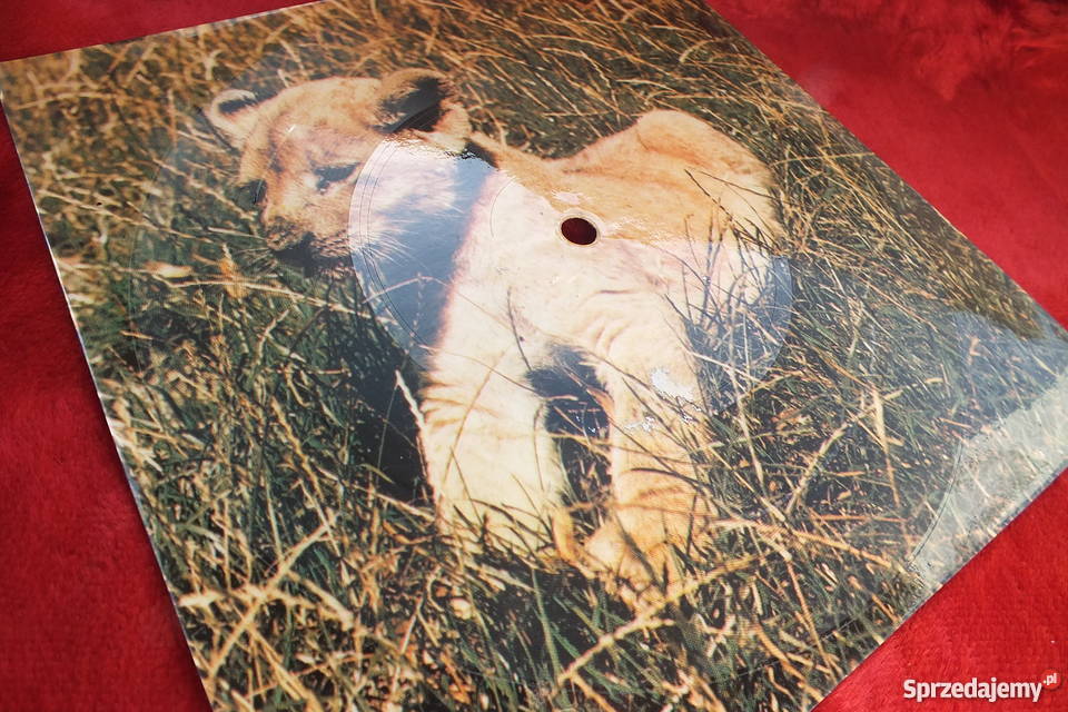 Stara pocztówka dźwiękowa Linda Bella Charlie 1 płyta Żary