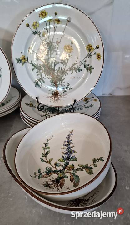 VilleroyBoch Botanica serwis obiadowy 5 osób Nałęczów