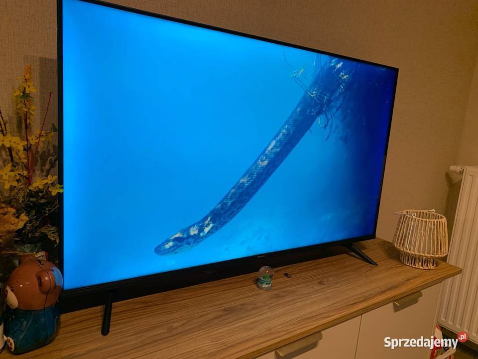 Telewizor Hisense 50A7100F 50 4K UHD Smart TV Zgorzelec