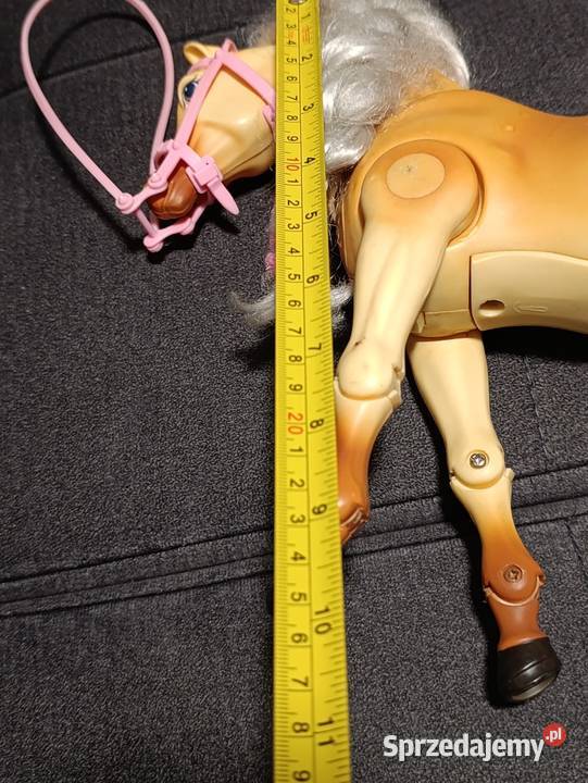 interaktywny koń Poznań