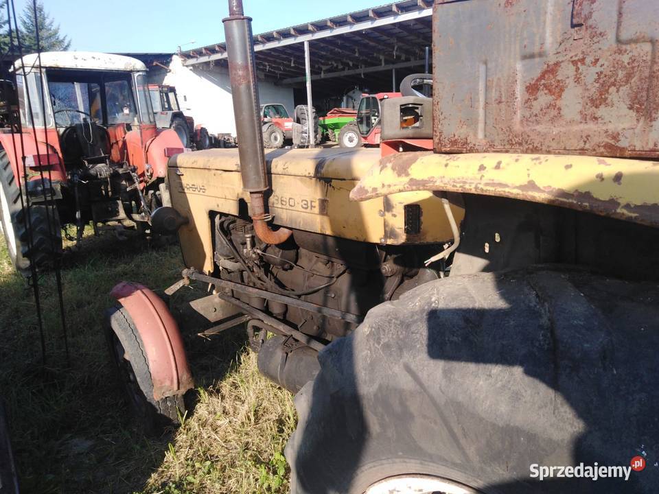 Sprzedam ciągnik rolniczy Ursus C360 r 1986 Włoszakowice sprzedam