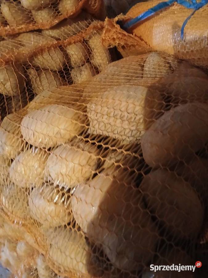Ziemniaki jadalne Kraśnik