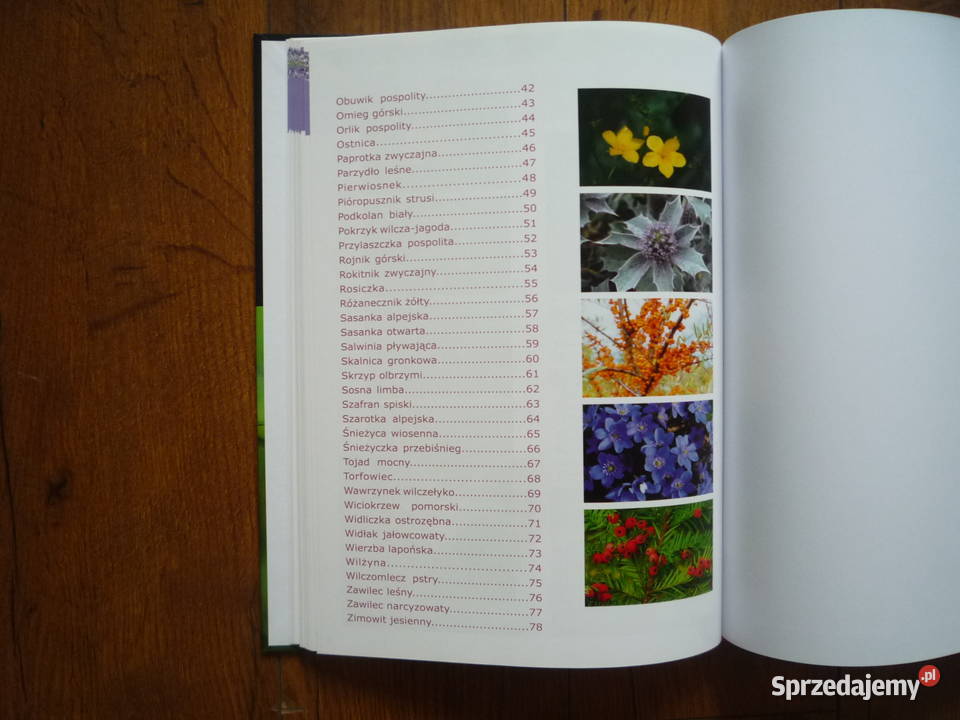 Nowa Książka Album Przewodnik Rośliny chronione