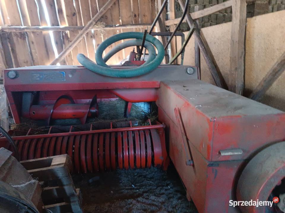 Sipma z224 Kostkujące Biała Wielka