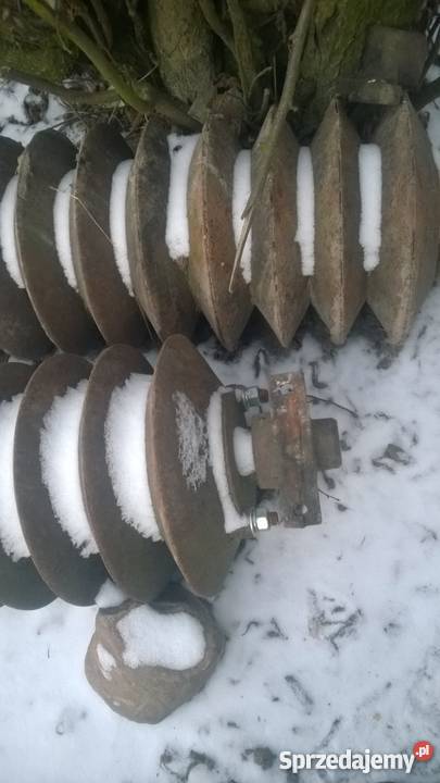 Wał pierścieniowy Pozostałe Zakrzew