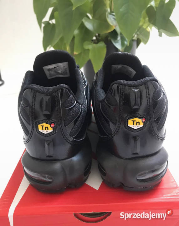 Nike Air TN Plus Warszawa