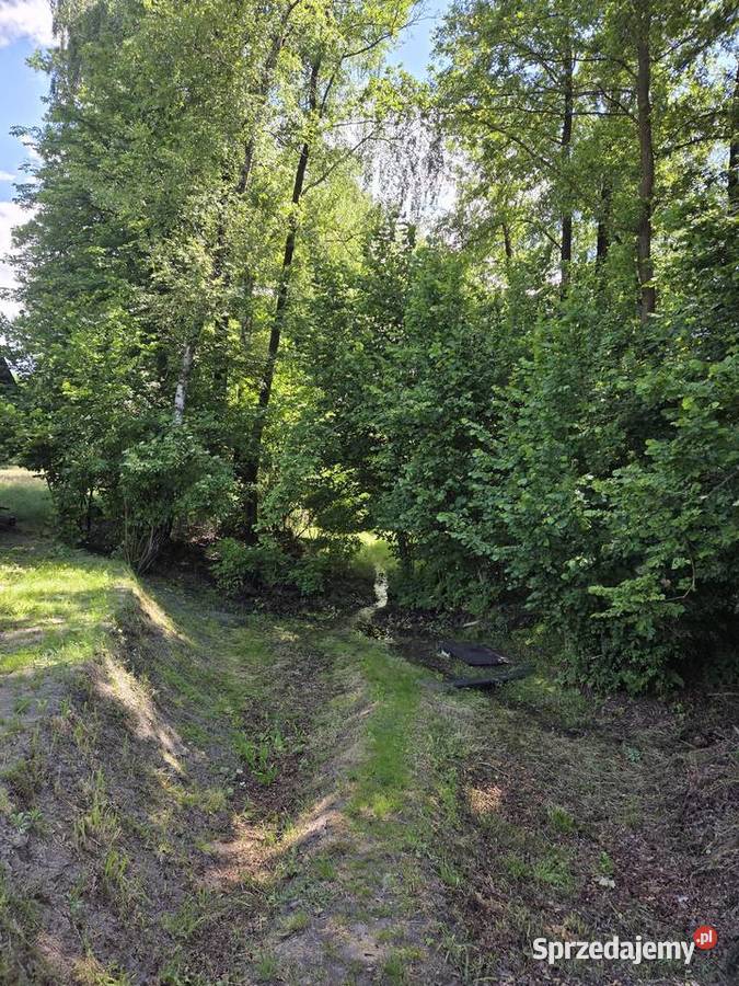 Siedlisko na wsi 17 h Bełchatów