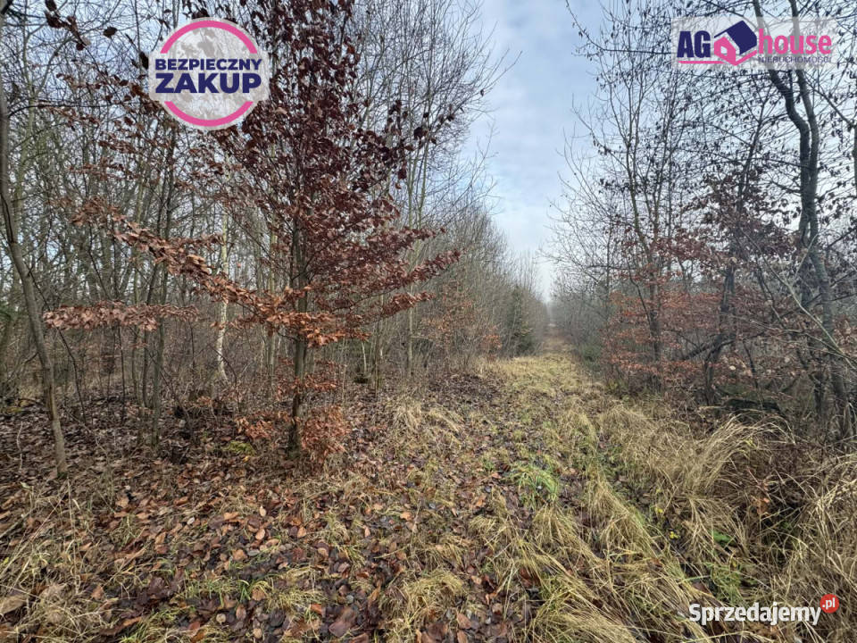 Działka 1441m2 Gdańsk Grzybowa 1441m2 Sprzedaż