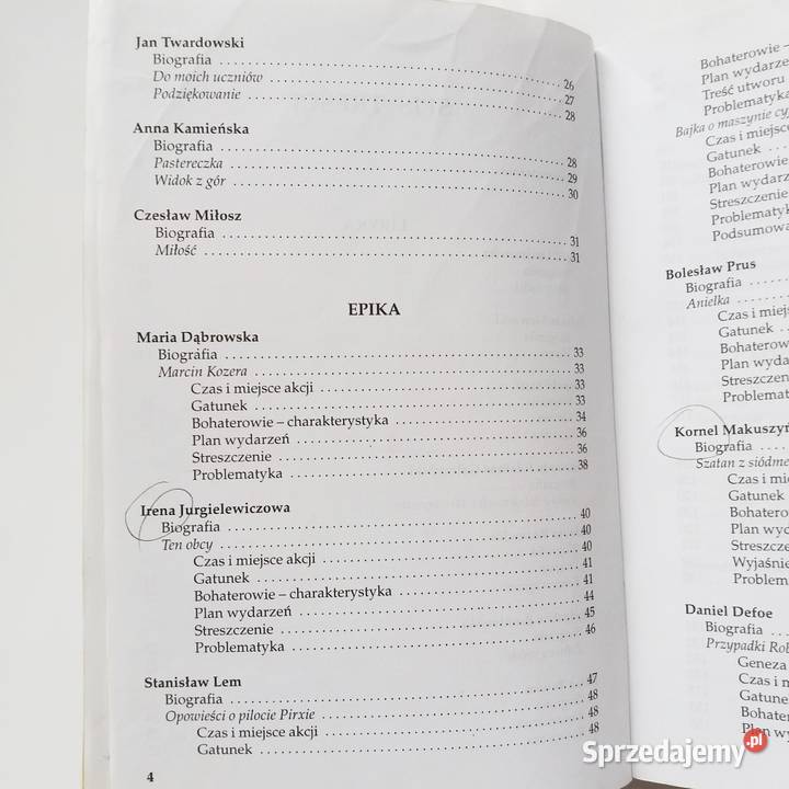 Bogumiła Wojnar 6 klasa Streszczenia i analiza Łódź