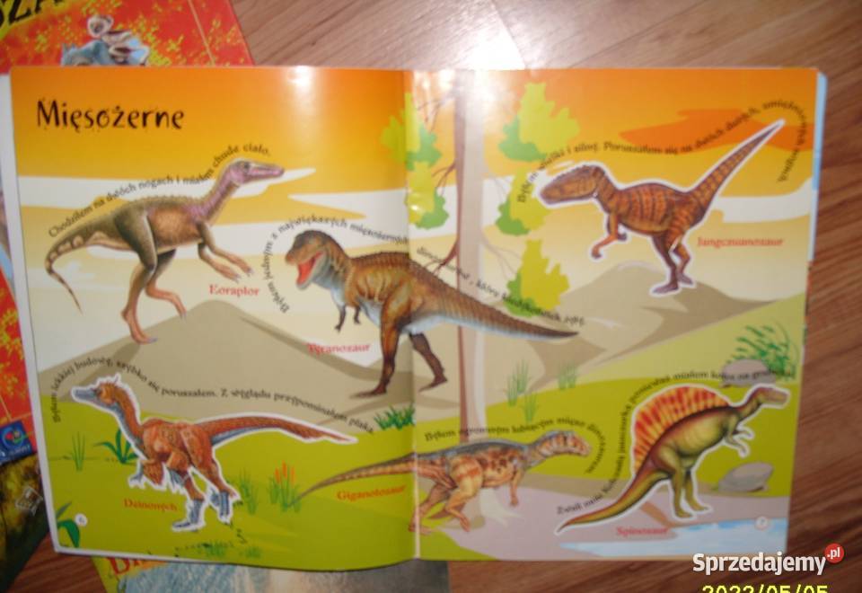 Zestaw 5 książek o dinozaurach Książki dla dzieci Rawicz