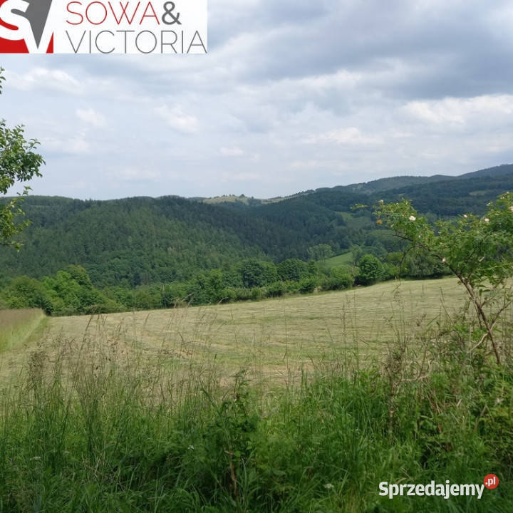 Dom z pięknymi widokami w centrum Gór Sowich Walim