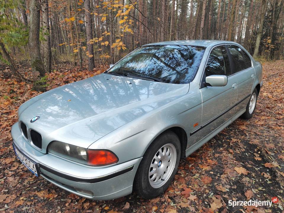 Bmw e39 seria 5 Strzebiń