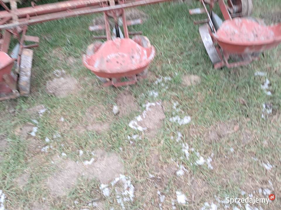 Sadzarka do rozsady warzyw 4 rzędowa nieuszkodzony Siewniki i sadzarki Milejów sprzedam