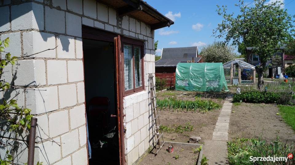 rod malwa woda Suwałki