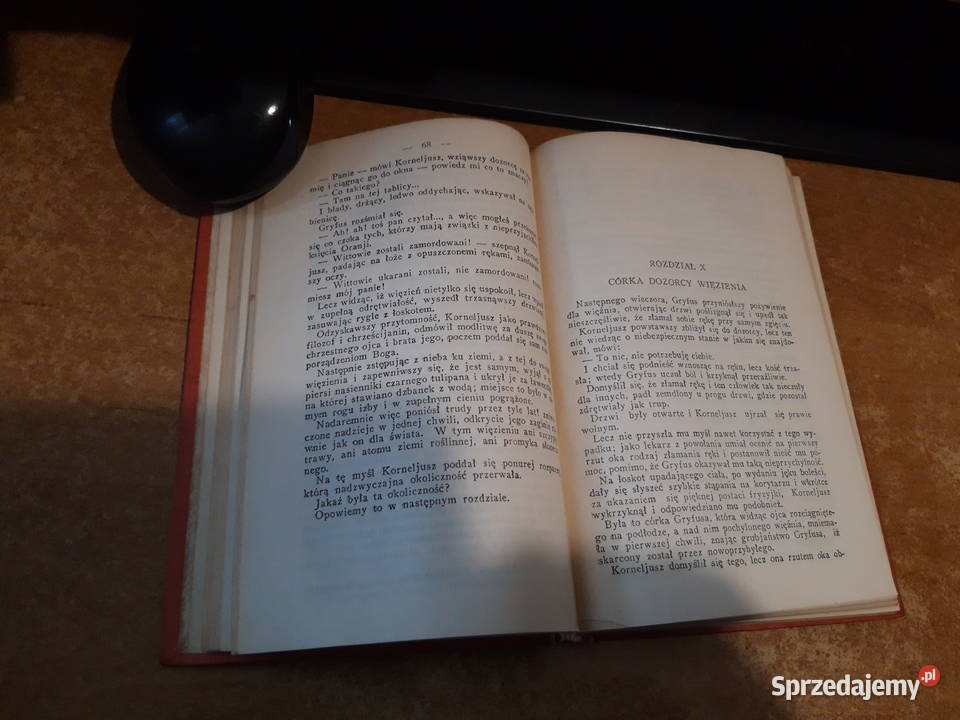 CZRNY TULIPAN DUMAS BIBLRODZINNA19928 OPR ilustr Iwno