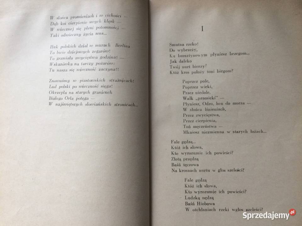 3652 Na Bursztynowym Brzegu Szczecin