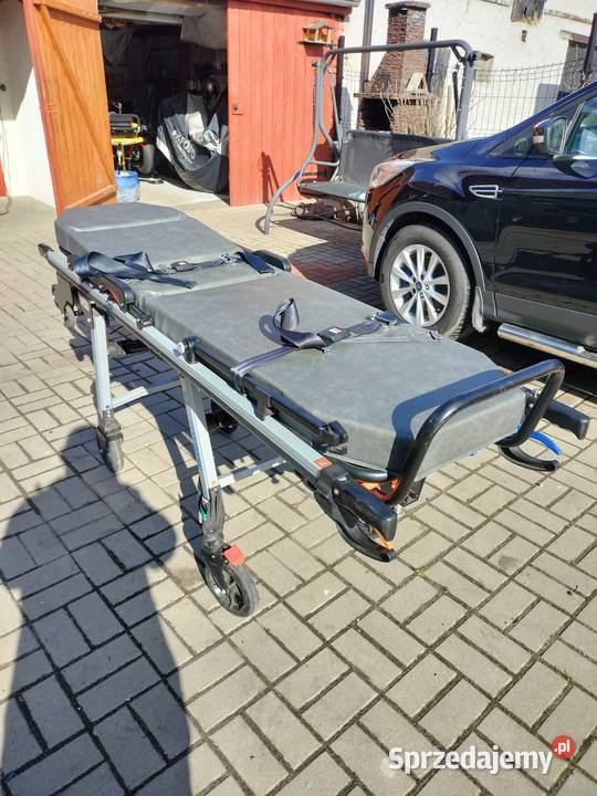 nosze kartsana lubuskie Drągowina sprzedam