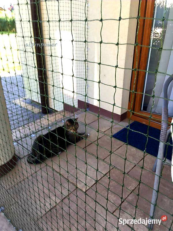 Siatka Kota Na Balkon Okno Taras Montaż Przeciw Warszawa usługi dla zwierząt