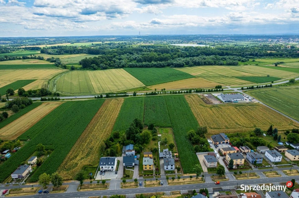 Dom plus działka usługowa Sprzedaż Chałupki