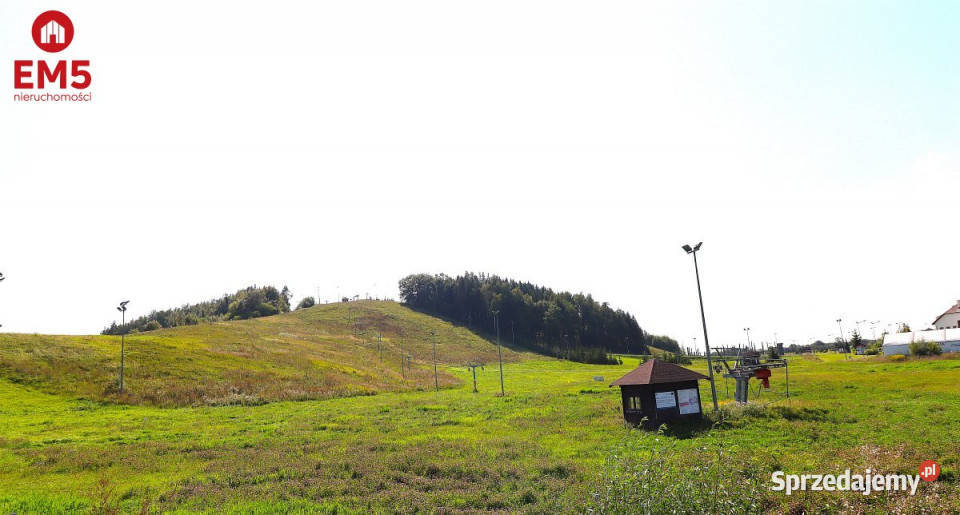 Dom wolnostojący Leszczewo 1913m2 Domy