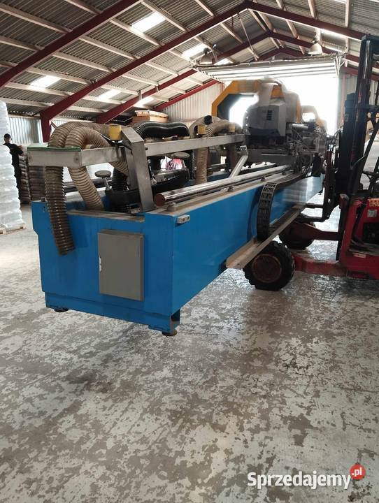 Dwupila petrici wielkopolskie Komorze Przybysławskie