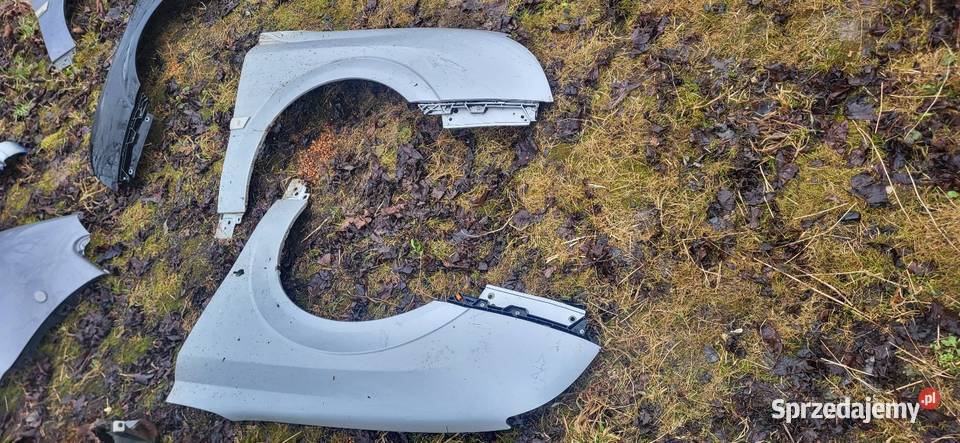 Błotnik Lewy Prawy Opel Vectra C Przed FL Różne małopolskie Żabno