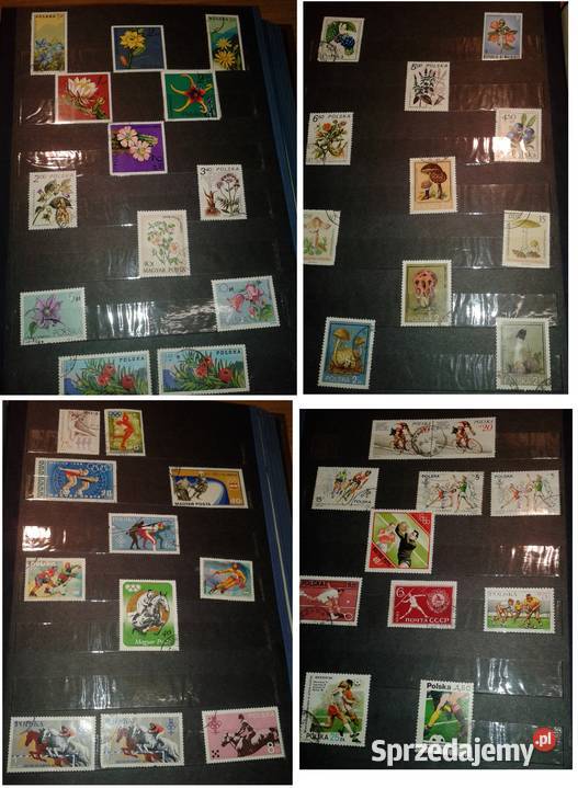 KLASER ZNACZKI kujawsko-pomorskie Bydgoszcz