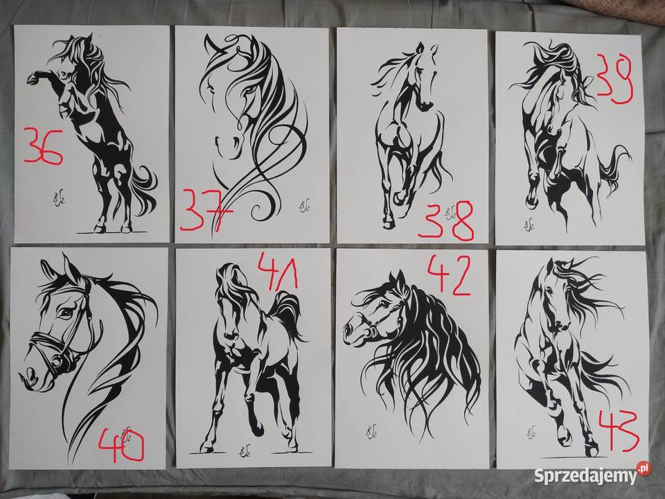 Rysunki seria konie 43 A4 blok t 250 gm2 mazowieckie Warszawa sprzedam