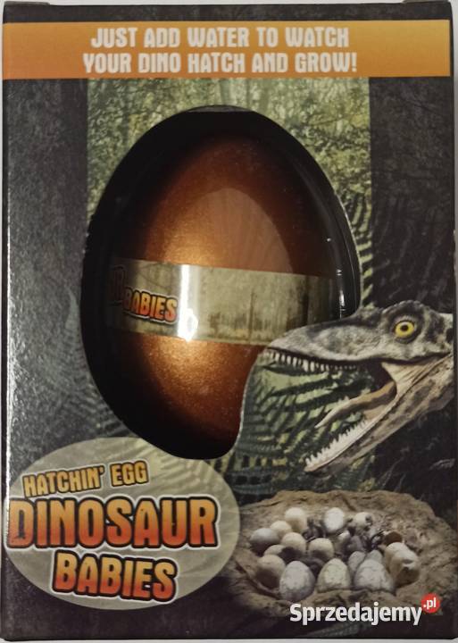 Dinozaur Jajo do Wyklucia Wzrostu MAGIC DINOSAUR Mogilany
