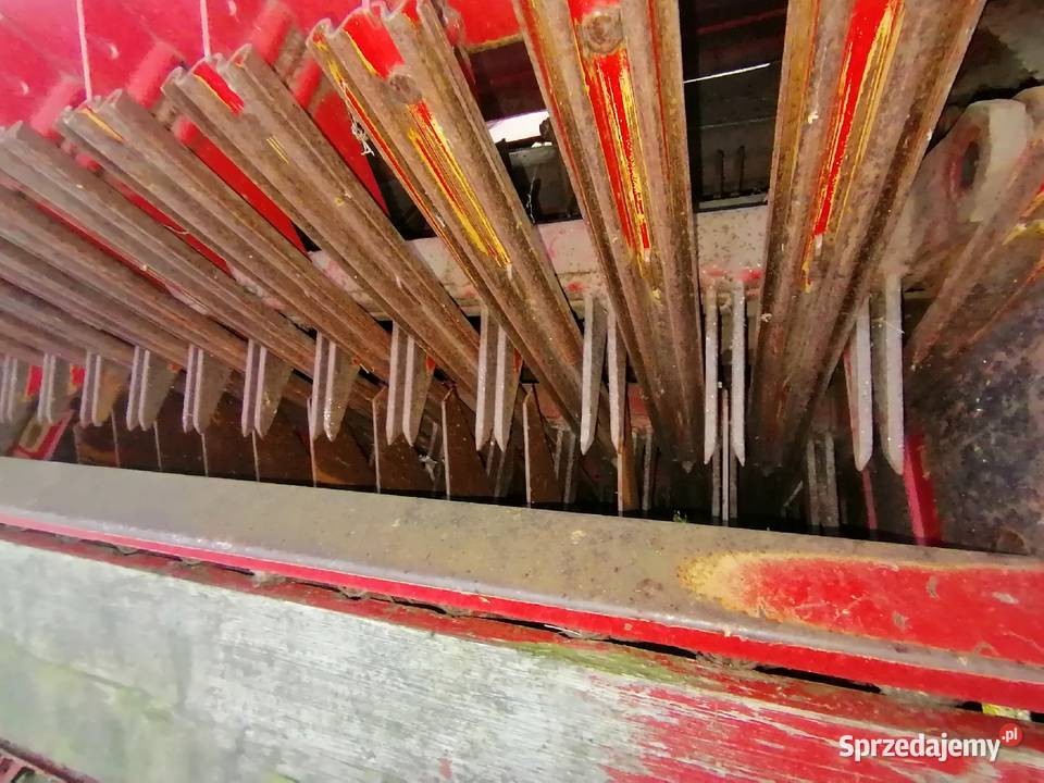 Pottinger top 3 Włoszanowo