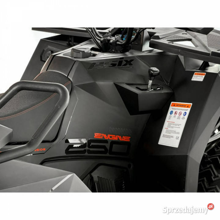 ASIX Inny Quad ASIX Cyber 250RR Transport Raty Motocykle, skutery, quady wielkopolskie Bicz