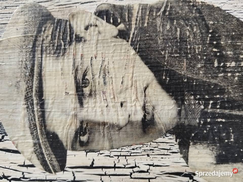 Obraz portret 24526 Szczecin