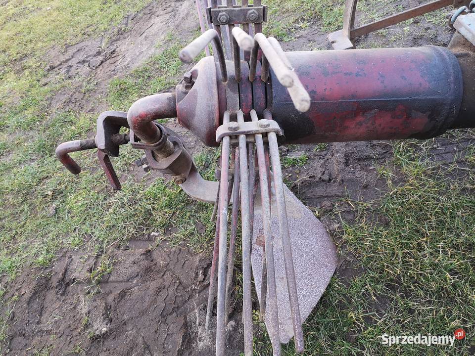 Kopaczka do ziemniaków PIONIER Stryjno sprzedam