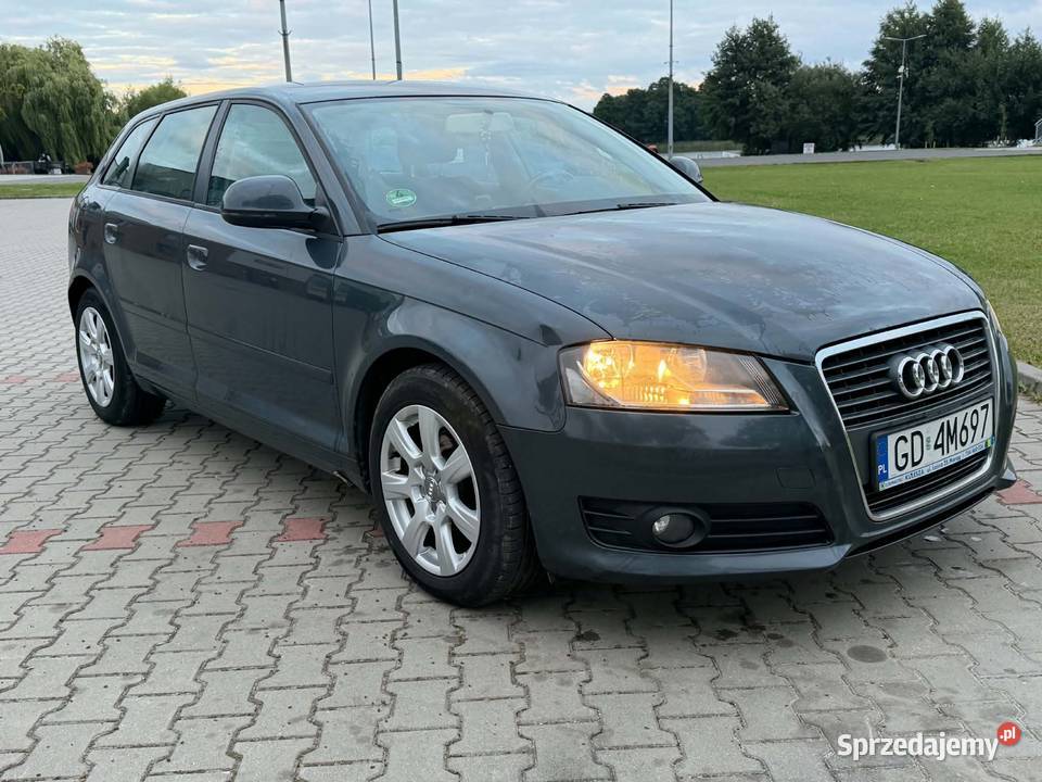Audi A3 8P Sportback 19 TDI 105 2009r Diesel pomorskie Malbork