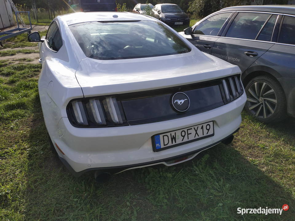 Syndyk sprzeda Ford Mustang