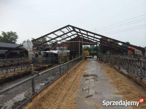 Hala stalowa 24x40 konstrukcja obora chlewnia ku Łęczyca
