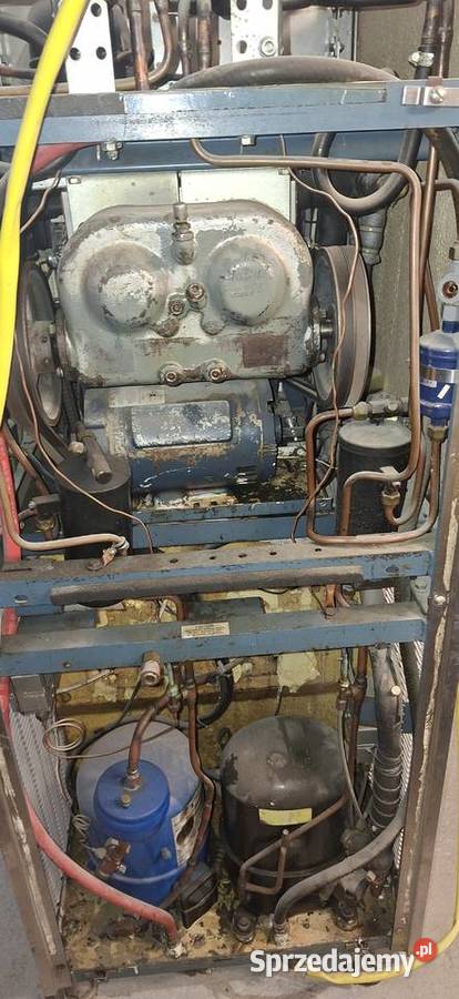 ELECTRO FREEZE Nowogard