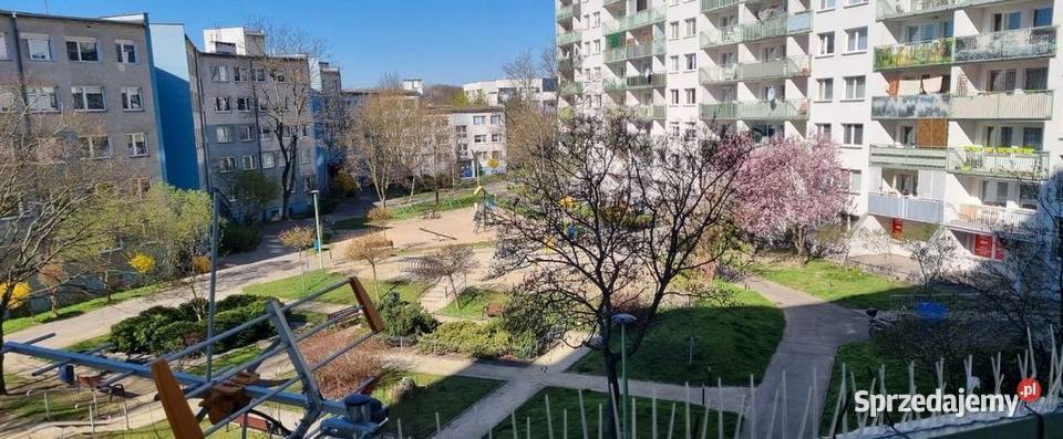 3pok 62met Sielskiej BALKONPIWNICAWINDA Wrocław dolnośląskie