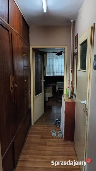 2pok 37met Ogrodu Botanicznego WINDA ZARAZ Liczba pokoi 2 Sprzedaż dolnośląskie