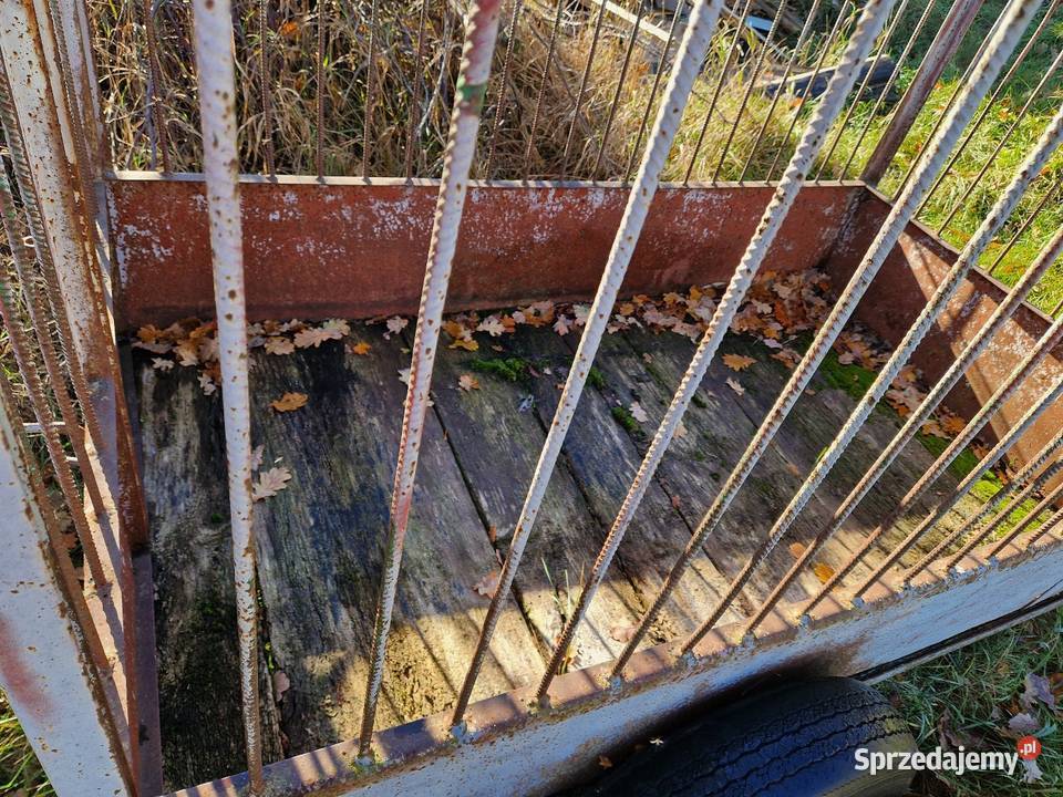 Wozek do przewozu zwierząt usługi dla zwierząt