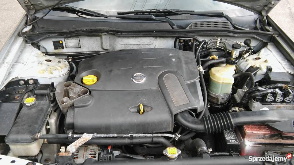 Nissan Almera 2003r 1.5diesel nowe turbo super stan Suszno